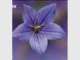 Affinity Psychological Service Affinity Psychological Service
