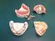 Paul Franco Denture Clinic Paul Franco Denture Clinic