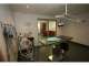 The Vet Lounge Coomera The Vet Lounge Coomera
