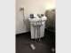The Vet Lounge Currumbin